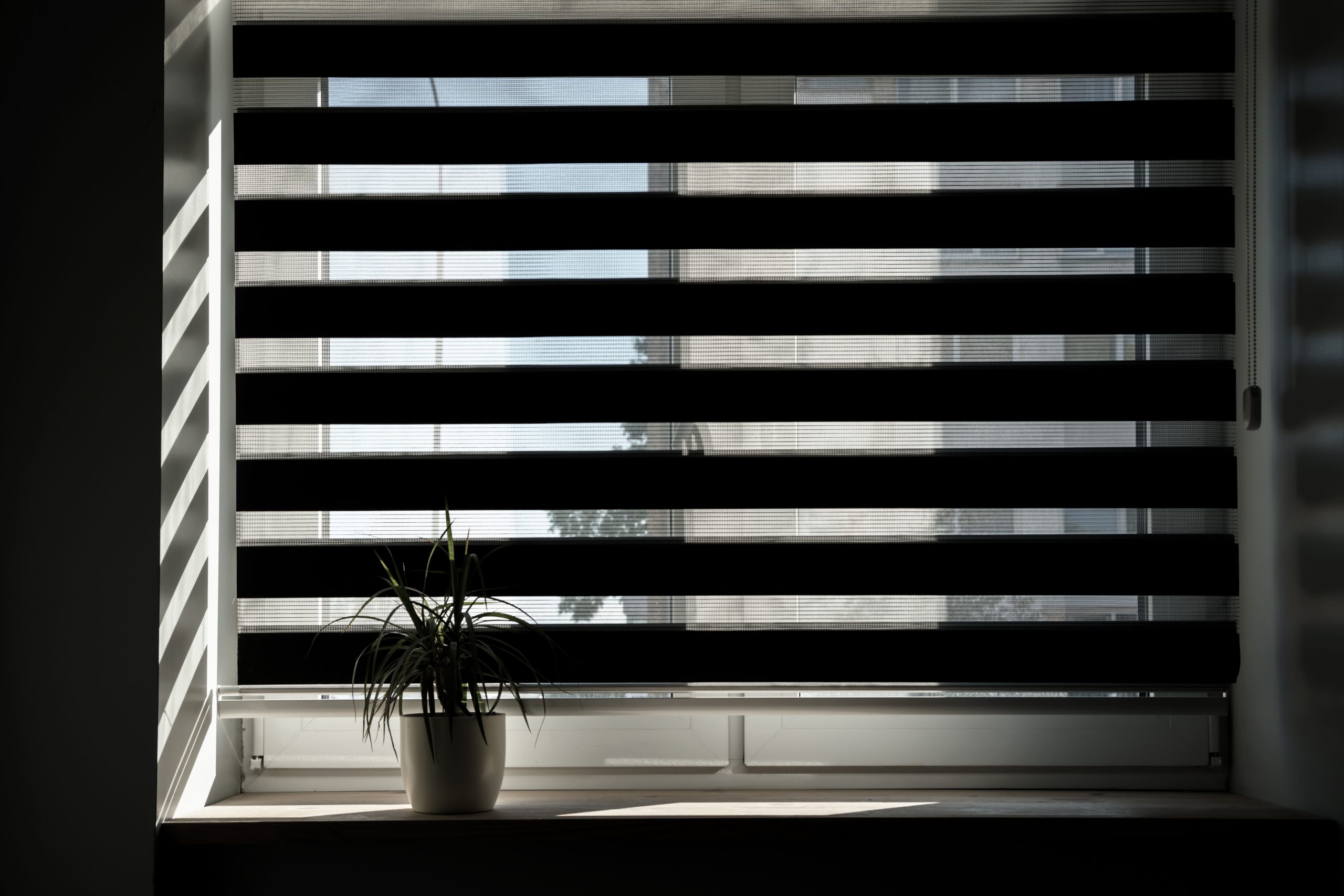 Innovative dual-layered window treatments combining sheer and solid fabric panels.